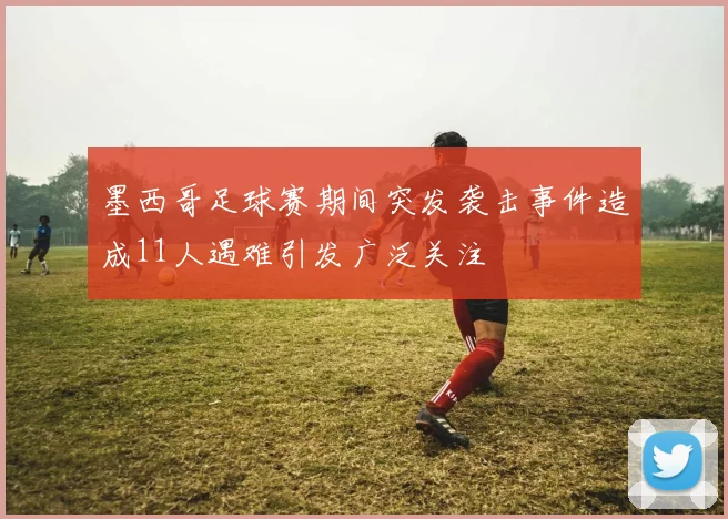 墨西哥足球赛期间突发袭击事件造成11人遇难引发广泛关注