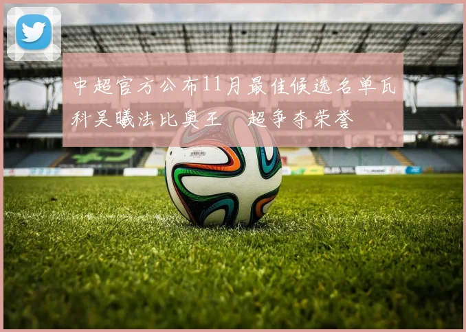 中超官方公布11月最佳候选名单瓦科吴曦法比奥王燊超争夺荣誉