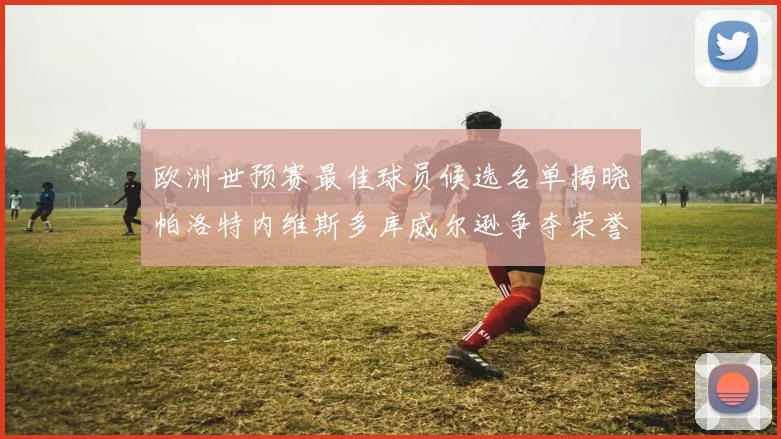 欧洲世预赛最佳球员候选名单揭晓帕洛特内维斯多库威尔逊争夺荣誉