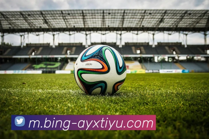 爱游戏体育平台生态图