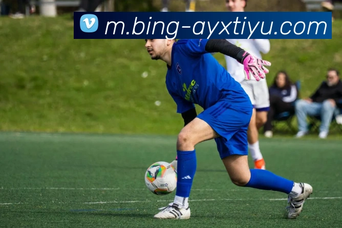 爱游戏体育APP 封面图